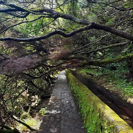 Appartement Paradise Valley