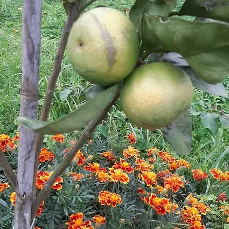 Lägenhet Paradise Valley *