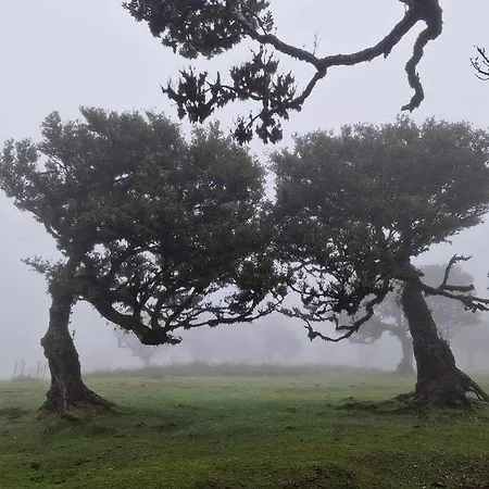 Paradise Valley * Ribeira Brava