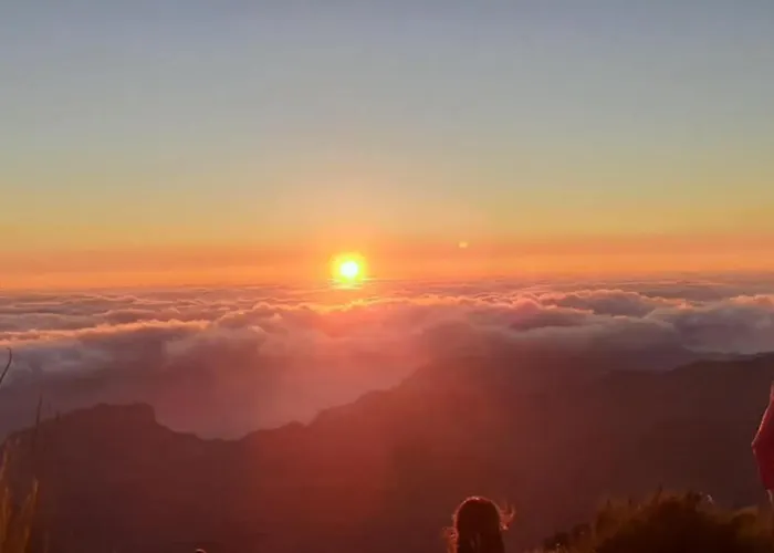 Apartment Paradise Valley