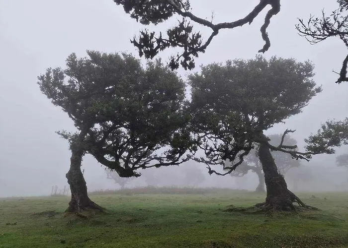 Paradise Valley * 里贝拉布拉瓦