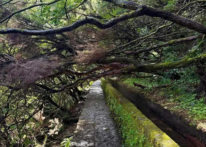 公寓 Paradise Valley