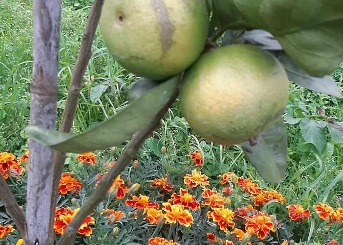 公寓 Paradise Valley *