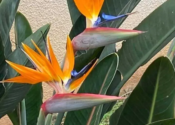 Paradise Valley Apartment